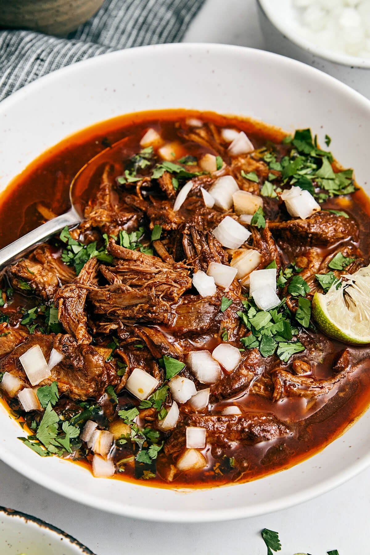 Beef Rib & Brisket Birria